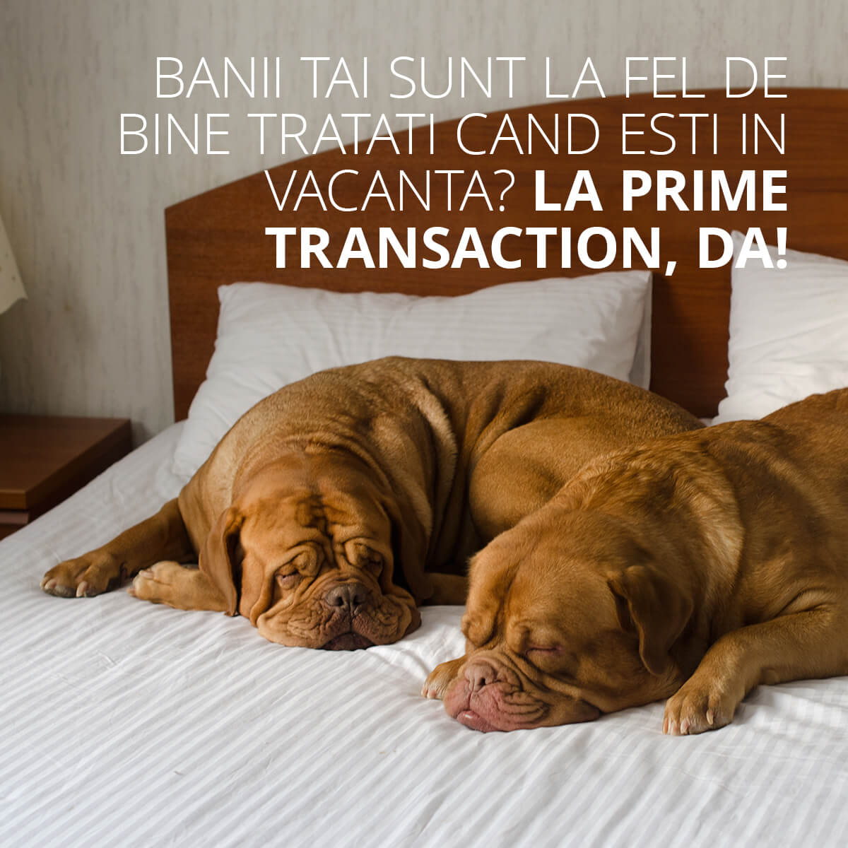 Banii tai sunt la fel de bine tratati cand esti in vacanta? La Prime Transaction, da!