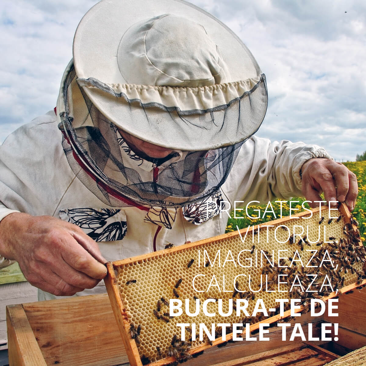 Pregateste viitorul. Imagineaza, calculeaza, bucura-te de tintele tale!